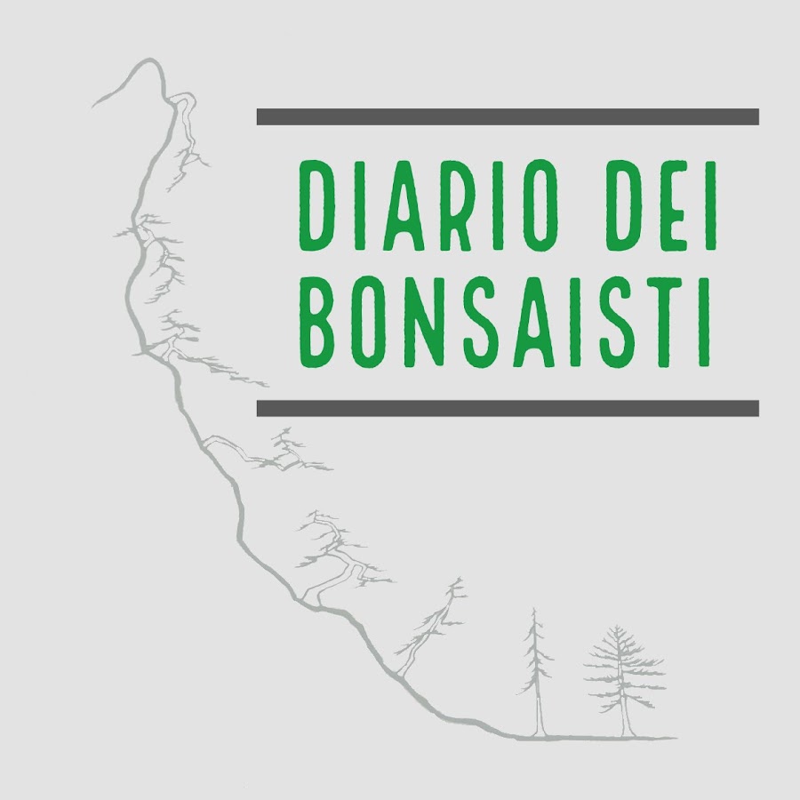 Diario dei Bonsaisti - YouTube