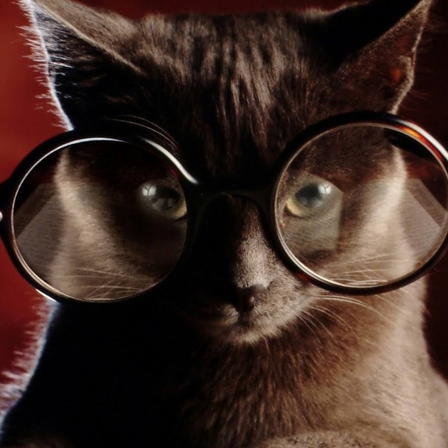 Туристско информационный центр логотип. Горно-алтайск реконструкция площади. Детские площадки амурская область. Амурский центр развития. Тц амурский омск.