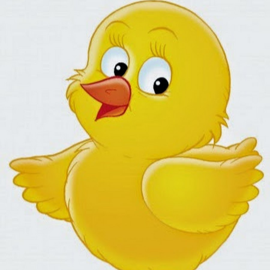 Картинка цыпленка для детей цветная