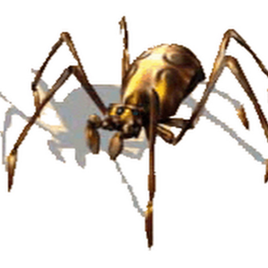 Картинки 210х185 пикселей