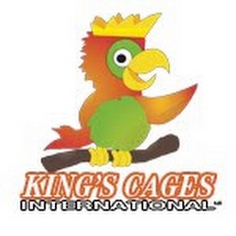 AKedOLRAZRcDtDBXYaJjECFlmLg6dGyKdnvFb1zGUtM9=s900ckc0x00ffffffnorj