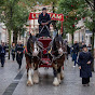 SHIRE AND CARRIAGE HORSES Official YouTube Profile Photo