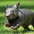 Mad Wombat