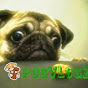 PugVlogz - LolaPlusLily YouTube Profile Photo