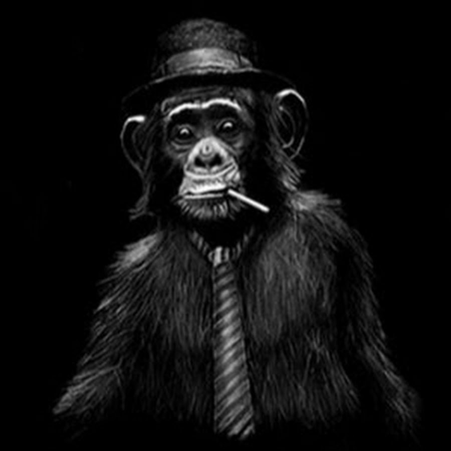 Картинки обезьяны на аву