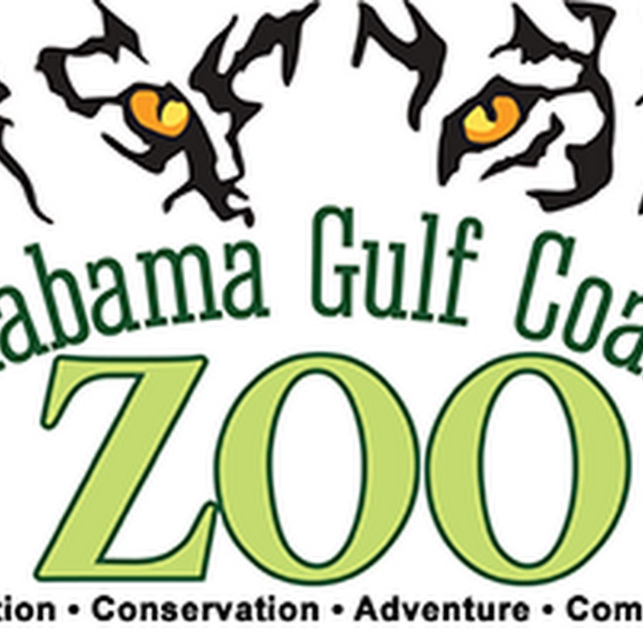 AKedOLRCCM2gJjwEQzpE76fQdsYD53PCIb9yPh33jJ1DzQ=s900ckc0x00ffffffnorj