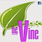 Vine Radio & Vine Television YouTube Profile Photo