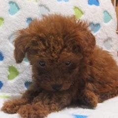 [最も共有された！ √] 橋爪浩一 画像 982863