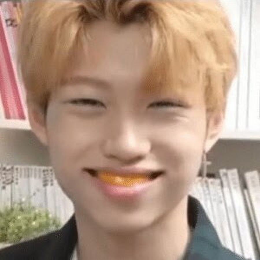 Felix Lee Stray Kids мемы