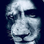 LION Media  YouTube Profile Photo