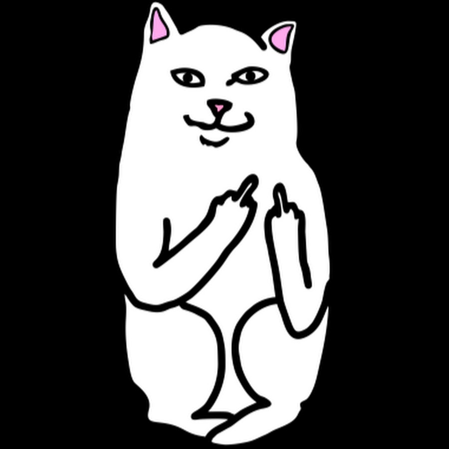 Кот с факом рисунок