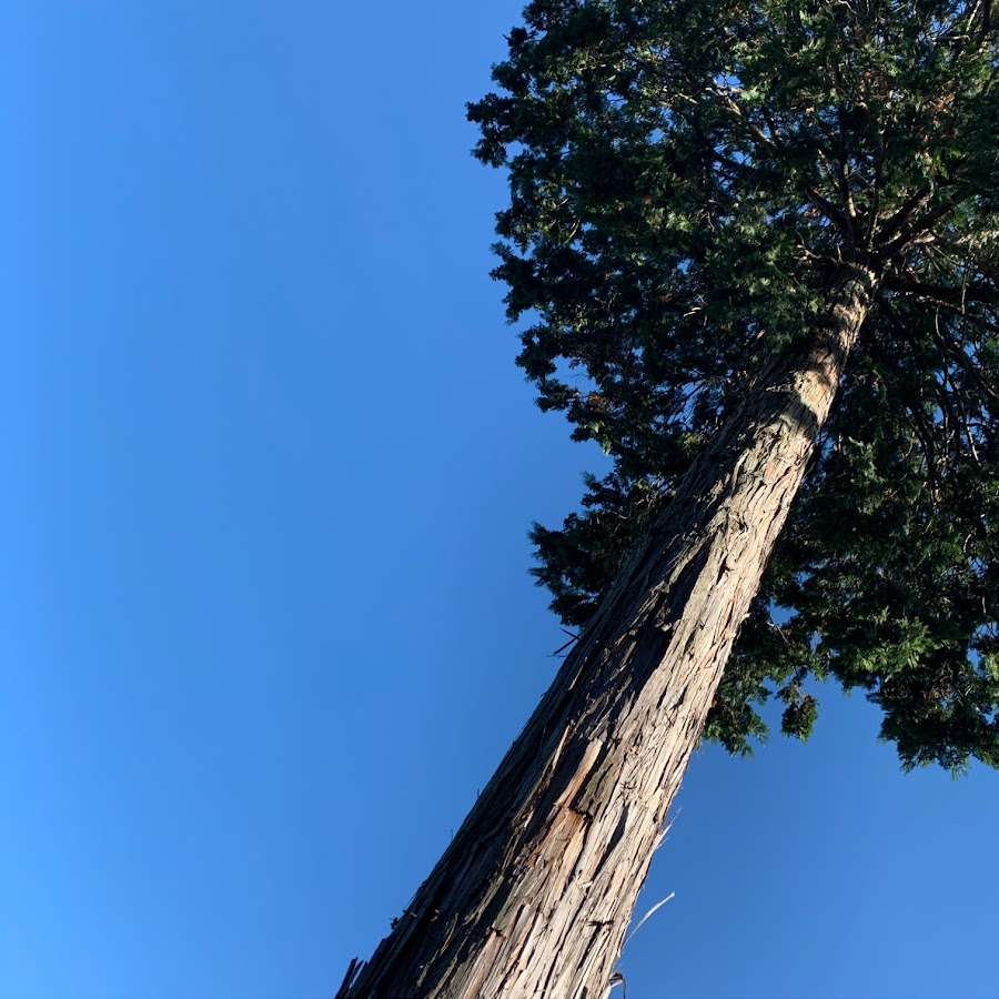 相川樹由 Youtube