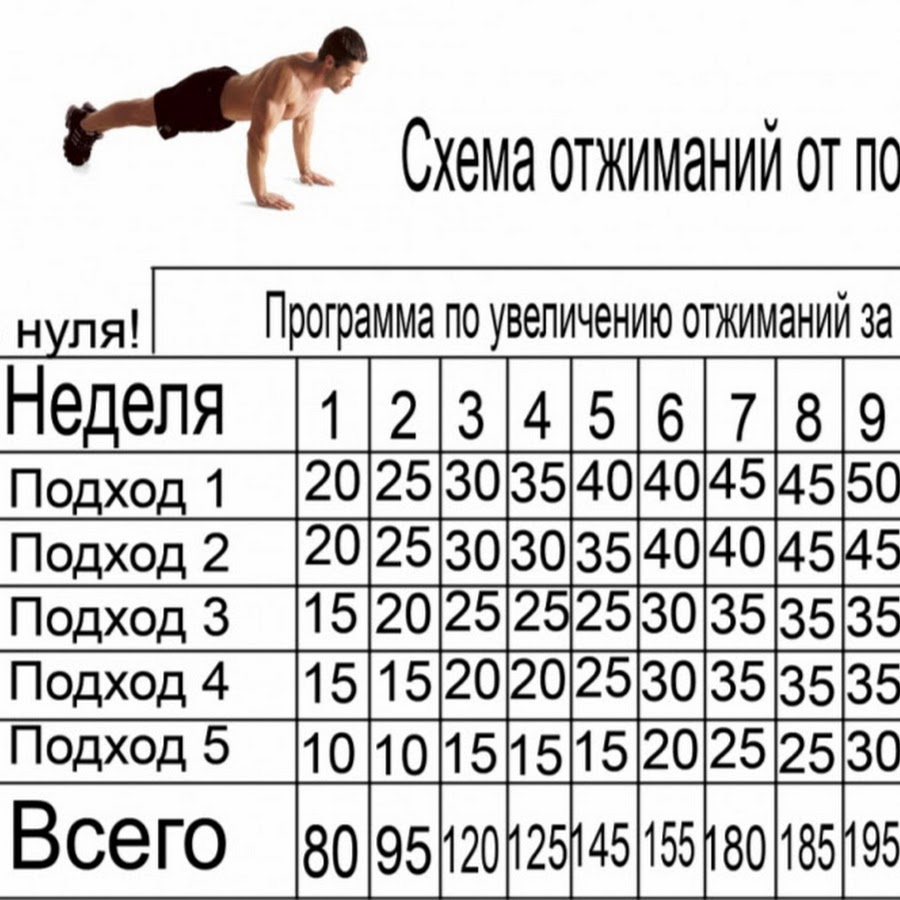 Схема отжиманий от пола на 30 дней для мужчин таблица