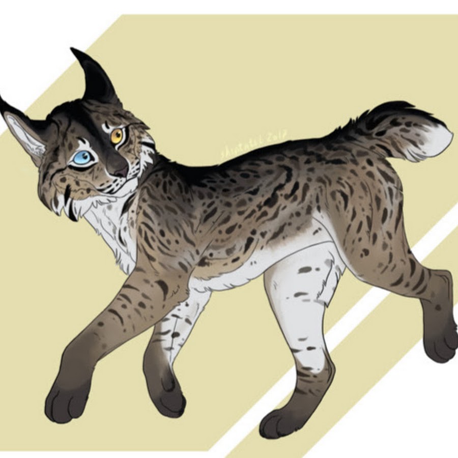 Рисунок фурри рысь