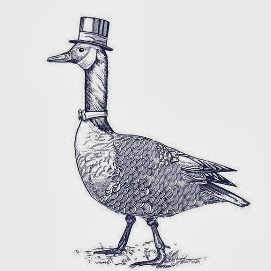 Рисунок гуся в очках