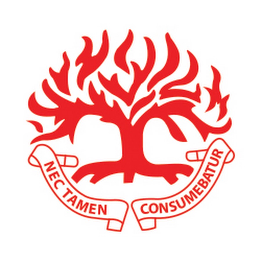 AKedOLREA96lH3MpWvmDgZDCRWJldOPKRpTGojfCwfiI=s900ckc0x00ffffffnorj