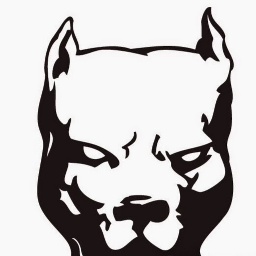 Питбуль фото черно белый рисунок