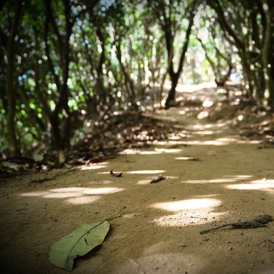 柴田恵里 Youtube