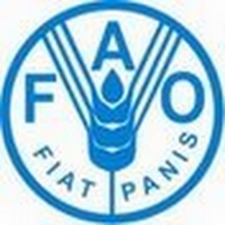 Продовольственная и сельскохозяйственная оон. FAO логотип. ФАО ООН. Food and Agriculture Organization FAO.