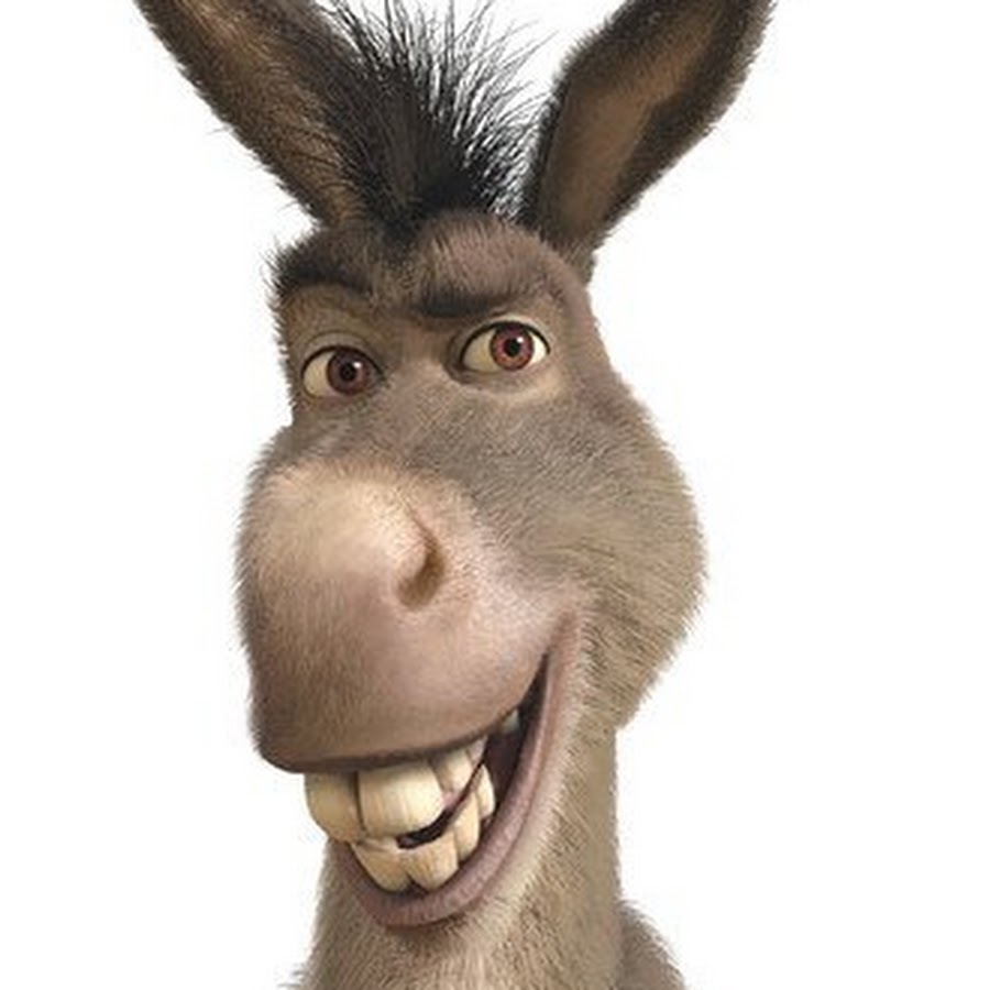 L Ane De Shrek Youtube