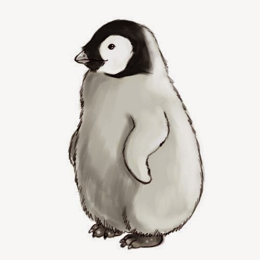 Пингвин рисунок реалистичный