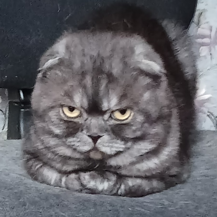 Тату фараона эскизы репер