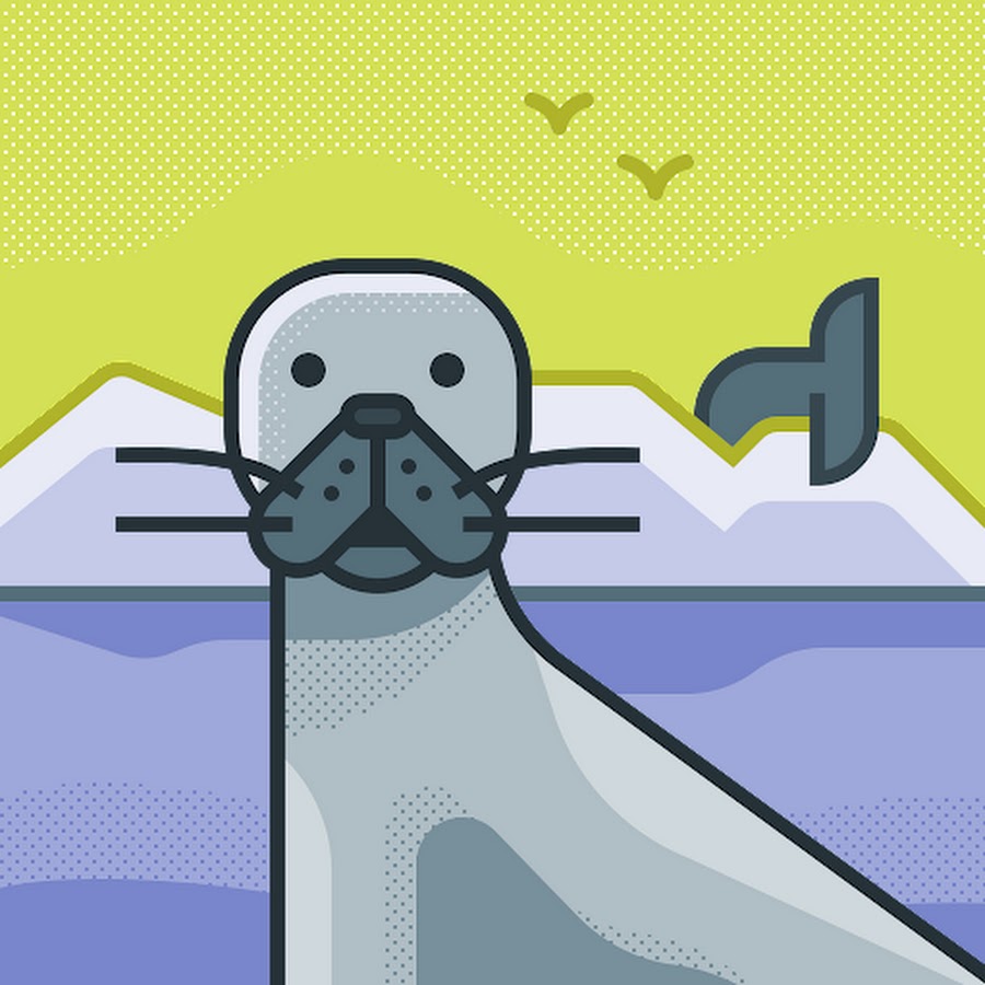 阪口珠美 Youtube