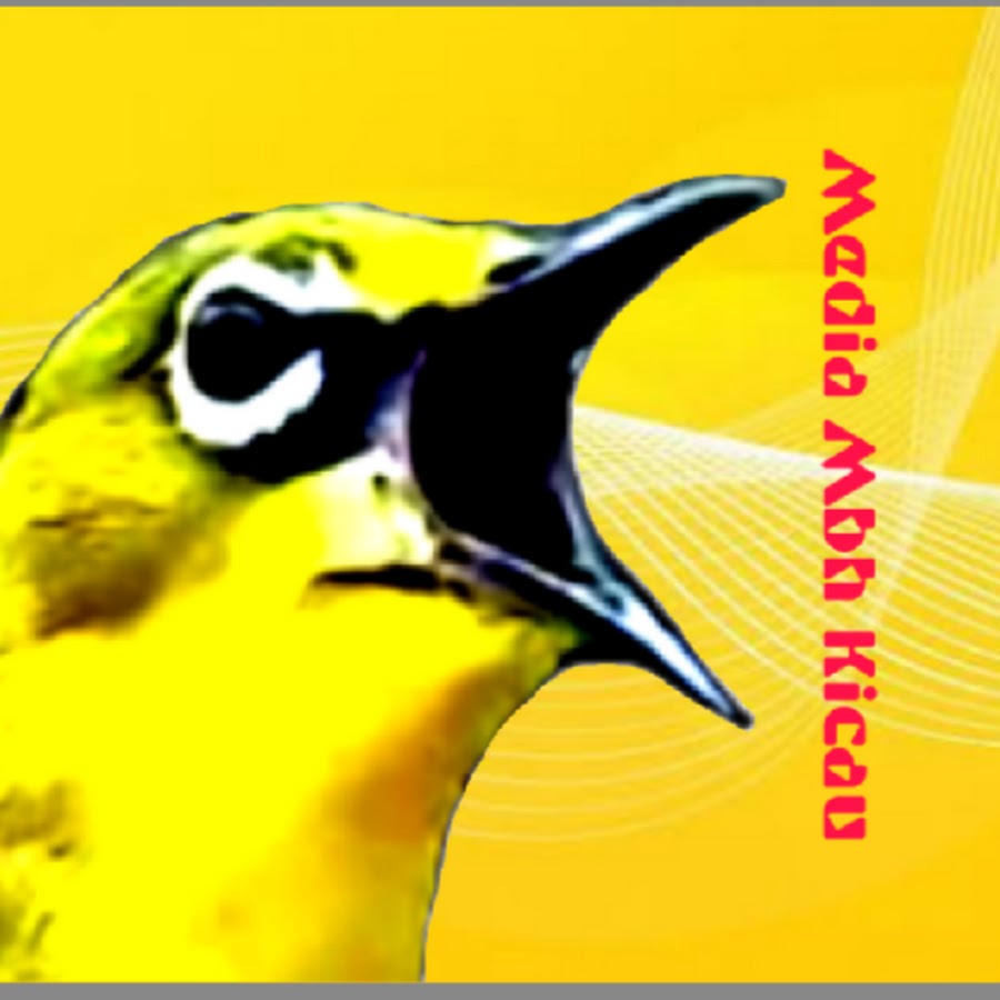 8600 Koleksi Gambar Burung Pleci Kartun Terbaru