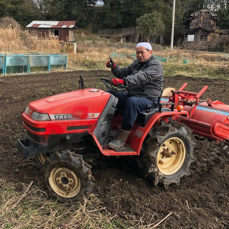 野村貴仁 Youtubeランキング