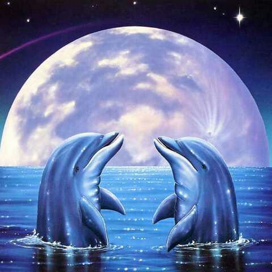 Луна дельфины