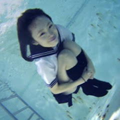 Playtube Pk Ultimate Video Sharing Website