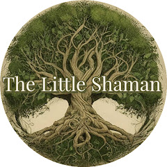 The Little Shaman thumbnail