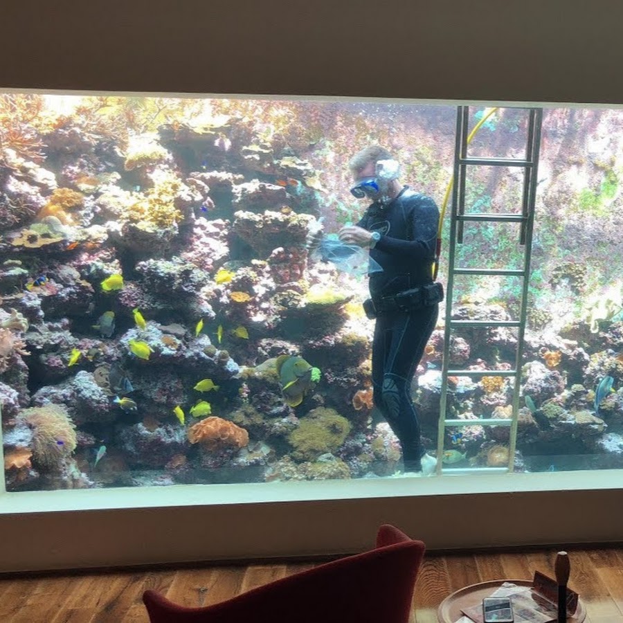 Eli Aquarium Youtube