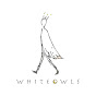 White Owls Inc.