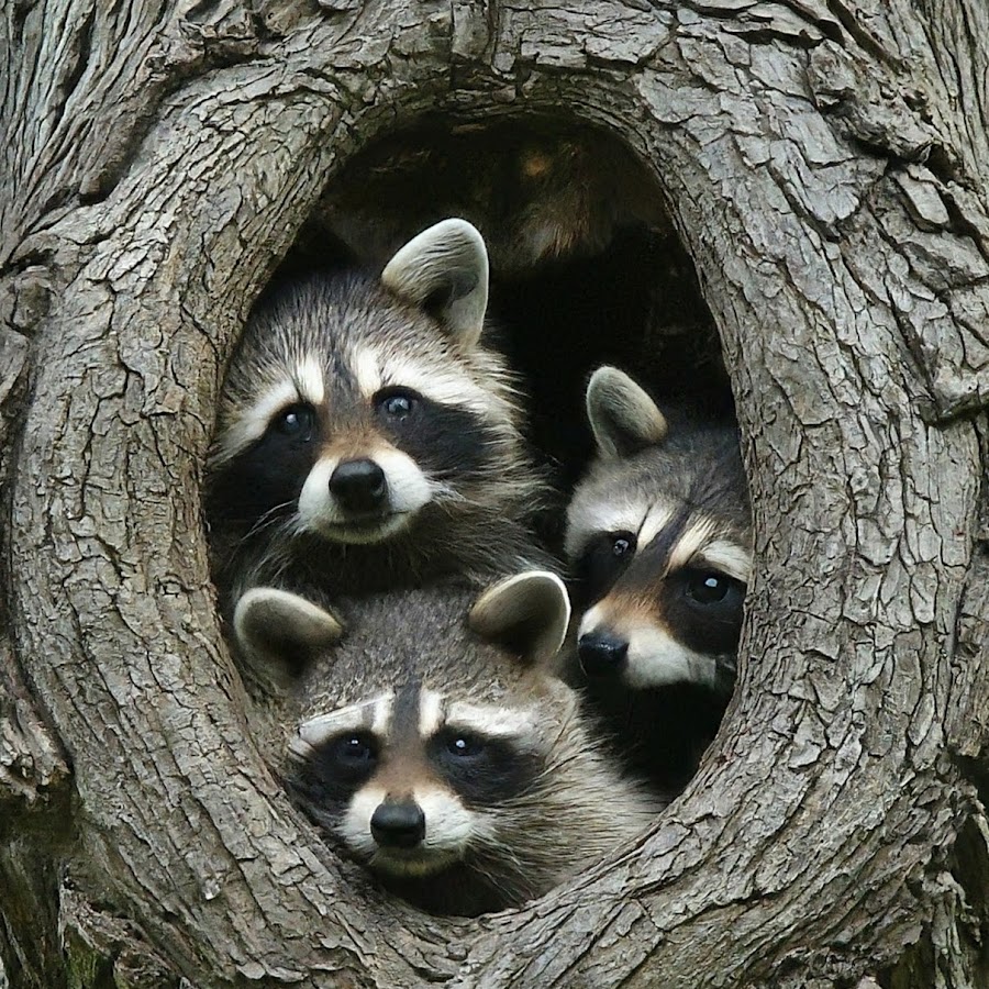 Человечек для презентации показывает класс