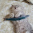 오로라