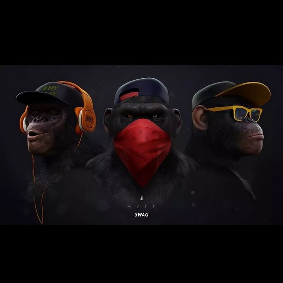 3 Wise SWAG