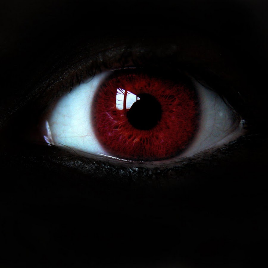 много красных глаз