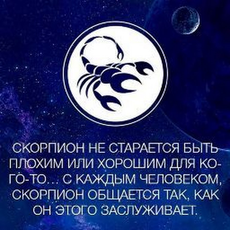 Высказывания про скорпионов