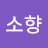 안소향