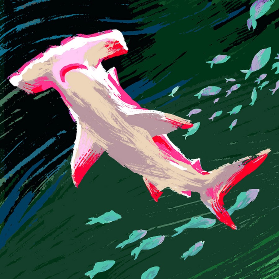 Psr j2032. гравитационные волны в космосе. космические орбиты. Gravity star. космические станции будущего.