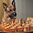 Дзержинская шахматная школа