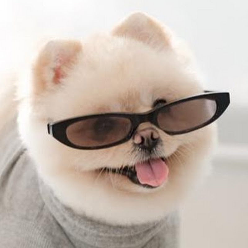 MUJI SAMA - 網紅的藏寶箱 