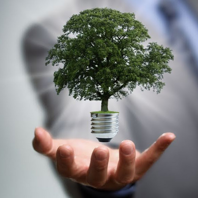 защита окружающий среды. экология менеджмент. окружающая среда. экологический аудит заставка. защита природы.