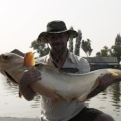 bigglyguy