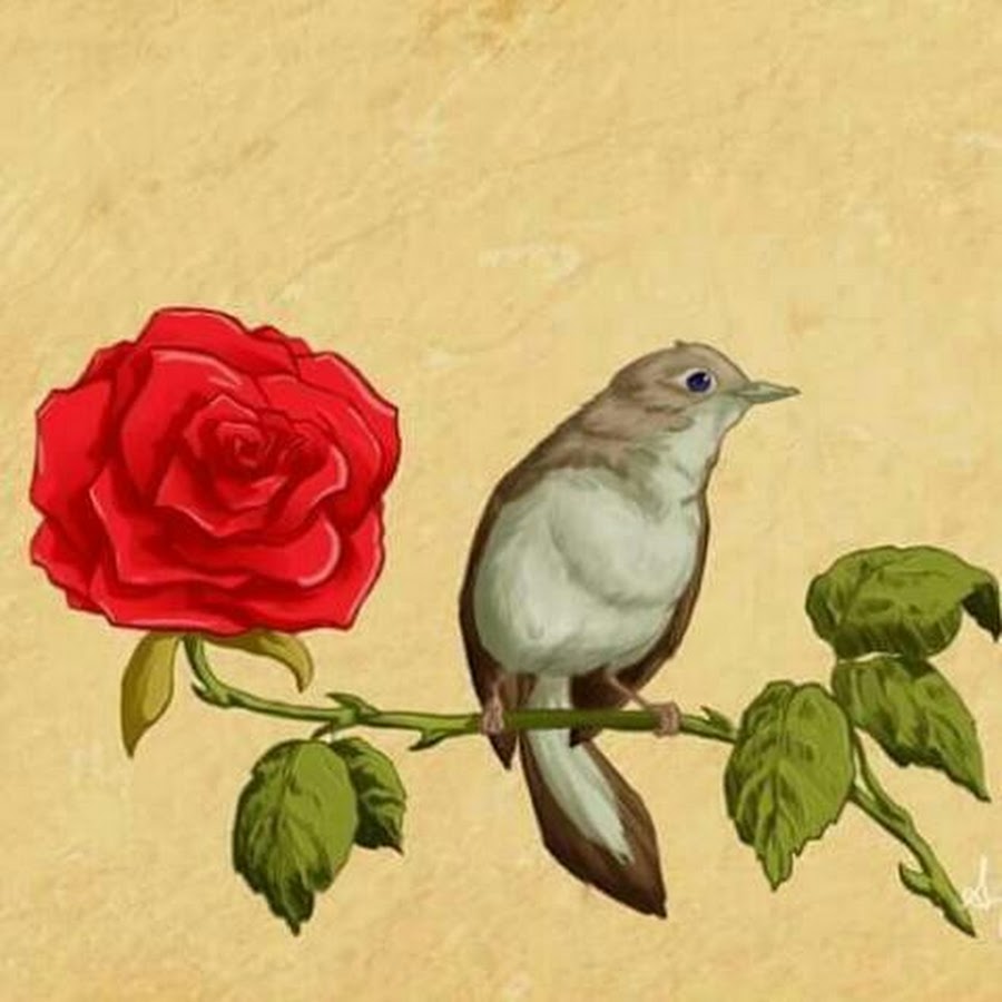 Рисунок соловья