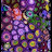 Bay Area Reefs Avatar