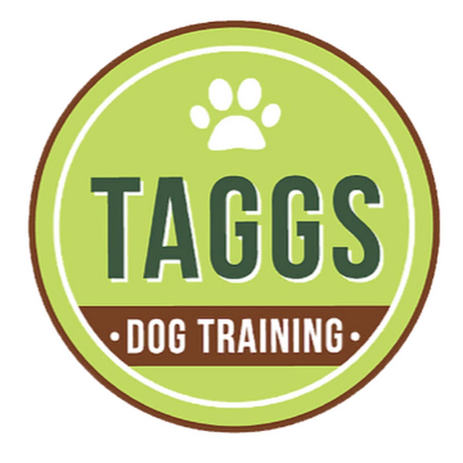 AKedOLRIwVn8F81p8IdET6508YfDPZ3VRdXZu22pPvhI=s900ckc0x00ffffffnorj