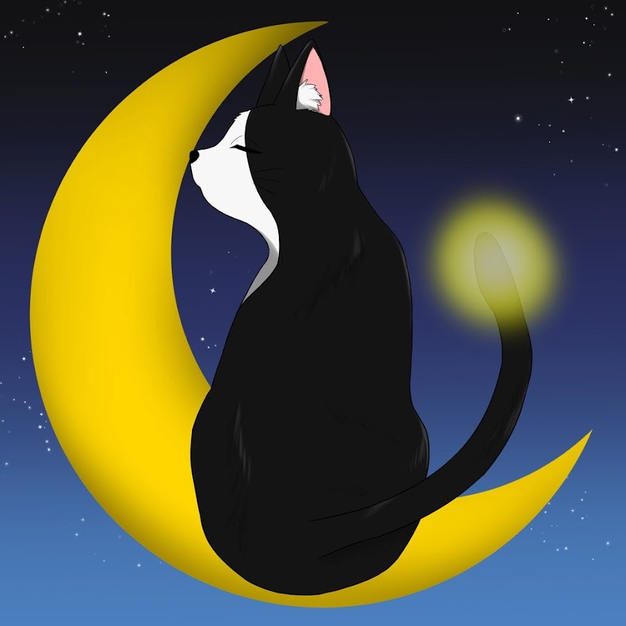 ノゲラほたる Youtube