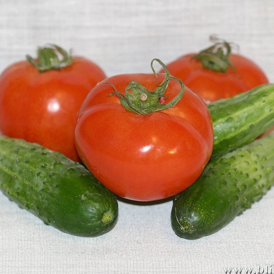 Огурцы и помидоры. Огурцы и помидоры на белом фоне. Помидорный огурец. Помидорный огурец. Свежие огурцы и помидоры.